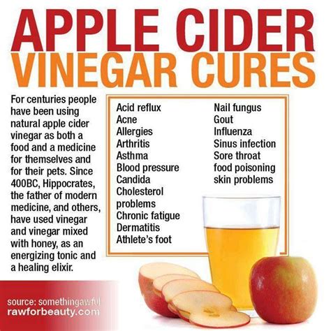 The Benefits Of Apple Cider Vinegar Health And Wellness Pinterest
