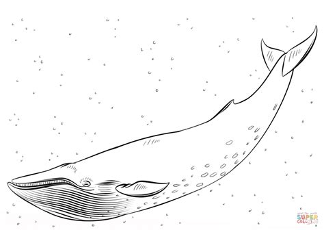 2362x1724 humpback whale black clipart humpback whale coloring page. Blue Whale coloring page | Free Printable Coloring Pages