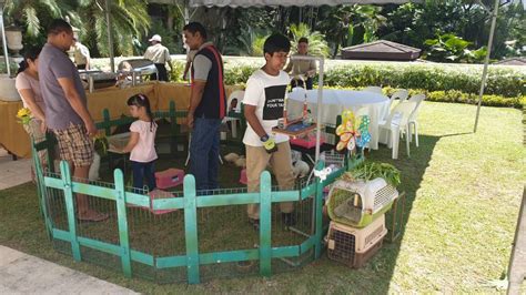 Petting Zoo Services Malaysia Petting Zoo Rental Malaysia Top Party