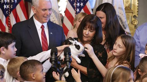 Lgbt Group Sends John Oliver Book About Gay Pence Bunny To School Where Karen Pence Teaches