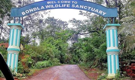Bondla Wildlife Sanctuary In Goa Top Places To Visit In Goa Goa