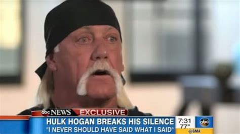 Hulk Hogan Denies Being Racist After Using The N Word On A Sex Tape Free Hot Nude Porn Pic Gallery