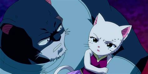 Fairy Tail 10 Things You Didnt Know About Panther Lily