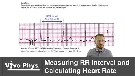 Measuring Rr Interval And Calculating Heart Rate Youtube