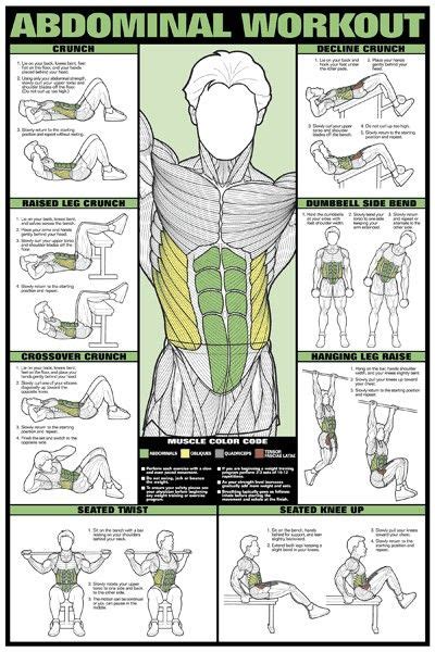 abs i remember this poster in gym class back to the basics abs workout posters abdominal