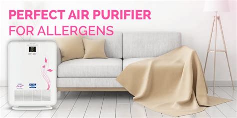 How To Choose The Right Air Purifier For Allergies