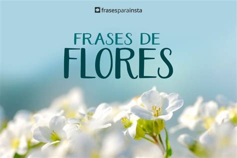 Introducir Imagen Frases Para Fotos De Flores Instagram Viaterra Mx