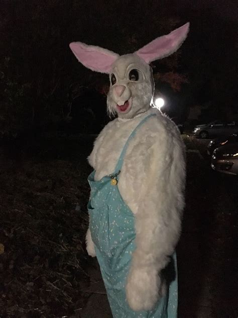 Scary Rabbit Images