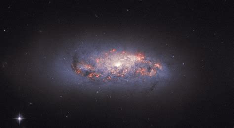 Hubble Views Rose Like Bloom In Spiral Galaxy Ngc 972