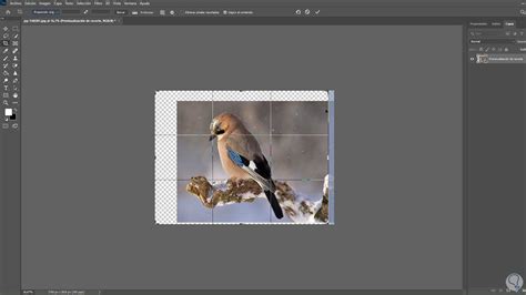 Cómo Recortar y redimensionar imagen en Photoshop Solvetic