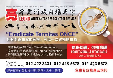 Hari pertama dan kedua ia tidak. Leong White Ants & Pest Control Service... - Leong White ...