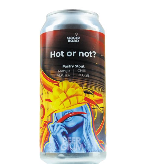 Magic Road Hot Or Not Mango And Chilli Cans 44cl Beergium