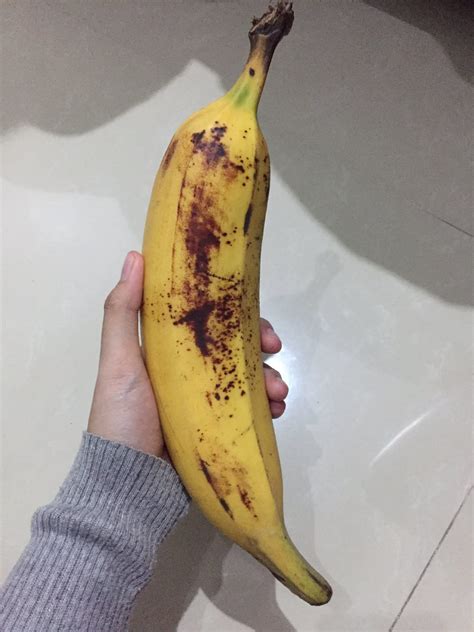 Apa Jadinya Pisang Jumbo ditangan seorang Janda Berumur (jamur)