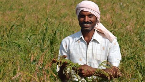 Farmers Turn To Millets As A Climate Smart Crop Vikalp Sangam
