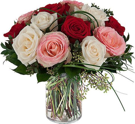 Red Pink And White Roses Va66aa Canada Flowers