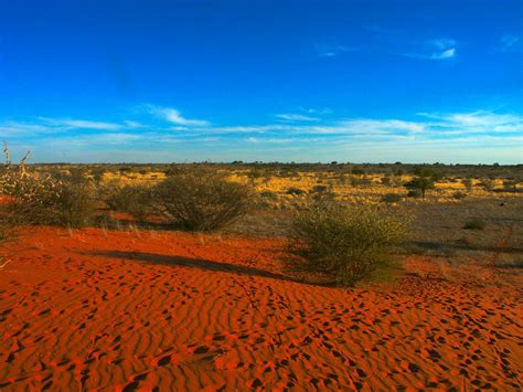 Felipe Argote The Blog The Kalahari Desert Merkats And Bushmen