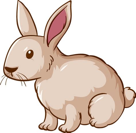 White Rabbit Cartoon On White Background Vector Art At Vecteezy