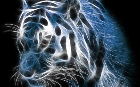 Galaxy Tab Wallpapers Hd Top Rated Beautiful Stunning Cool Tiger