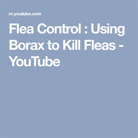 Flea Control Using Borax To Kill Fleas Youtube Flea Control