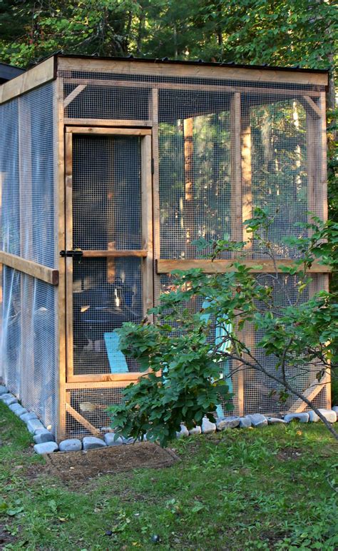 There is very few information available on the internet if we talk about the diy chicken door. Modern DIY Chicken Coop | Chicken Coop and Run Built on a ...