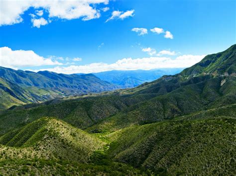 top 154 flora y fauna del estado de queretaro anmb mx