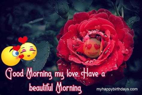 Romantic Good Morning Wishes With Roses Flowers Hd