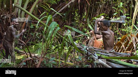 Los Papúes De La Tribu Korowai En La Selva La Gente De La Tribu