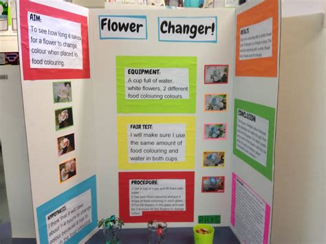 Room 5 2015 Science Fair Projects