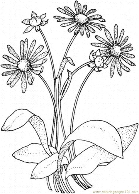 Daisy Flower Coloring Pages Coloring Home