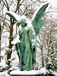 Der Schnee - Engel Foto & Bild | jahreszeiten, winter, natur Bilder auf ...