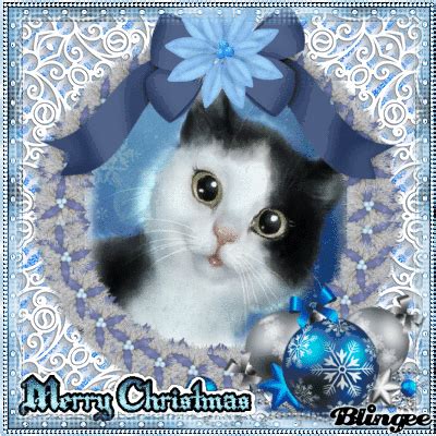 These merry christmas wishes, which are perfect for writing in cards, are sure to spread joy. merry christmas cat Picture #135531565 | Blingee.com