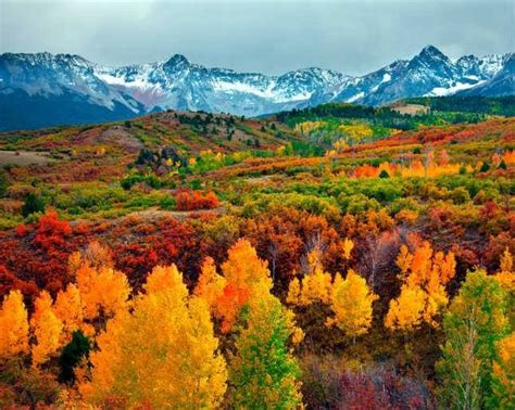 Fall Moutain Beauty Colorado Fall Scenery Nature