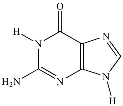 Guanine Molecular Structure