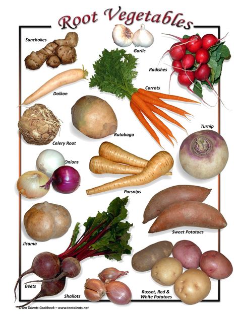 Root Vegetables Fruits And Vegetables List Different Types Of