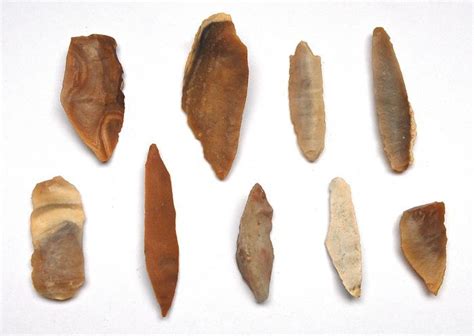 Lot With 17 Early Neolithic Tools 115 To 50 Mm Catawiki