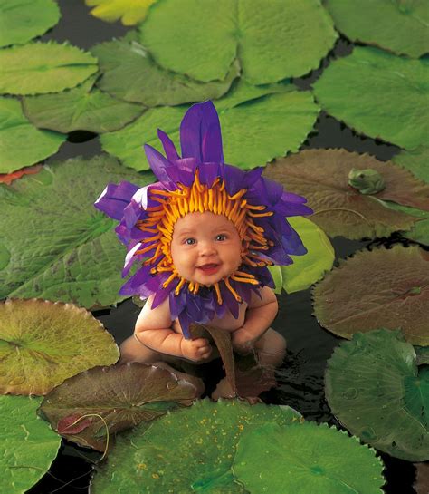 Colección De Anne Geddes Dulces Bebés Angelitos Thedailyworld