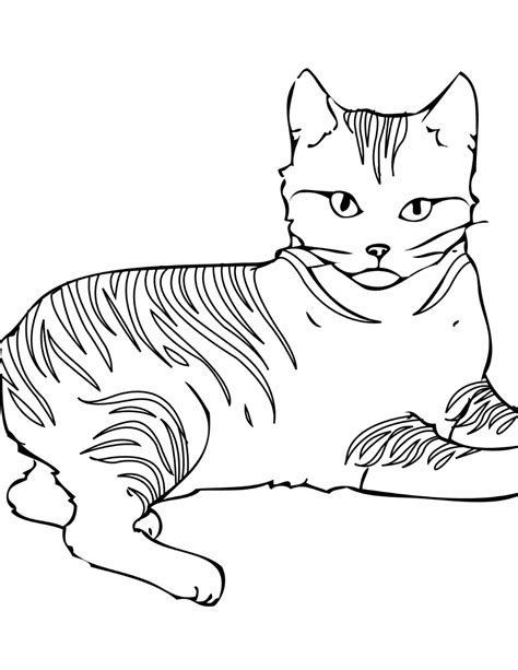 Cat Coloring Pages Realistic Cats Ghy