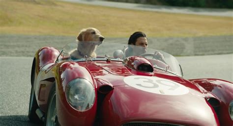 We did not find results for: Ferrari Retro Sports Car Used By Milo Ventimiglia As Denny Swift In The Art Of Racing In The ...