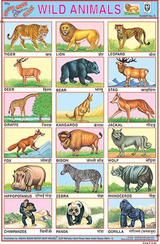 Indian Book Depot Educational Charts In 2020 Wild Animals List