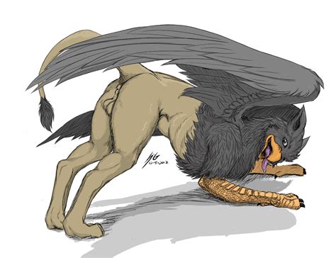 Rule 34 Anus Ass Avian Balls Bent Over Feral Gryphon Male Only
