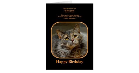 Have A Meow Velous Birthday Tortoiseshell Cat Card Zazzle