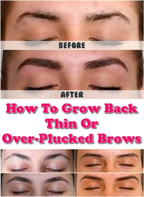 How To Grow Back Thin Or Over Plucked Brows How To Grow Eyebrows Growing Out Eyebrows Thin