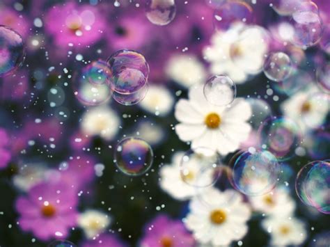 Wallpaper Water Space Sky Snow Purple Bubbles Blossom Spring