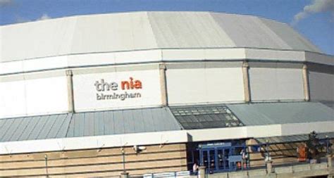 21 cats with fur hearts. Celtic Tiger Live .nl