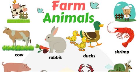 Farm Animals Vocabulary In English Eslbuzz Learning English