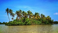 Islands In Kerala - Find Out The Top 8 Islands For A Lovely Vacation!