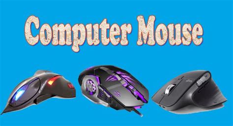 What Is Computer Mouse Parts Of Mouse With Functions And Uses 2021