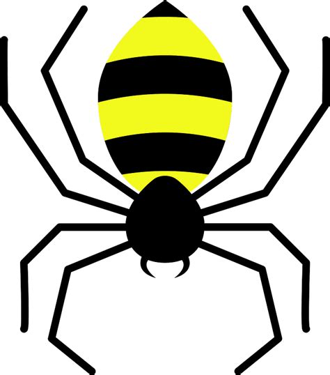 Spider Vector Free Download Clip Art Free Clip Art On Clipart Library