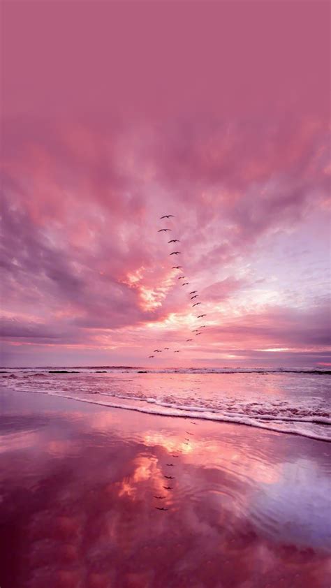 Collection by janet gwen • last updated 1 day ago. Aesthetic Pink Clouds And Sea Wallpapers - Wallpaper Cave