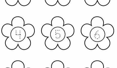 worksheet on flowers for kindergarten